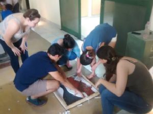 Alumnos Trabajando